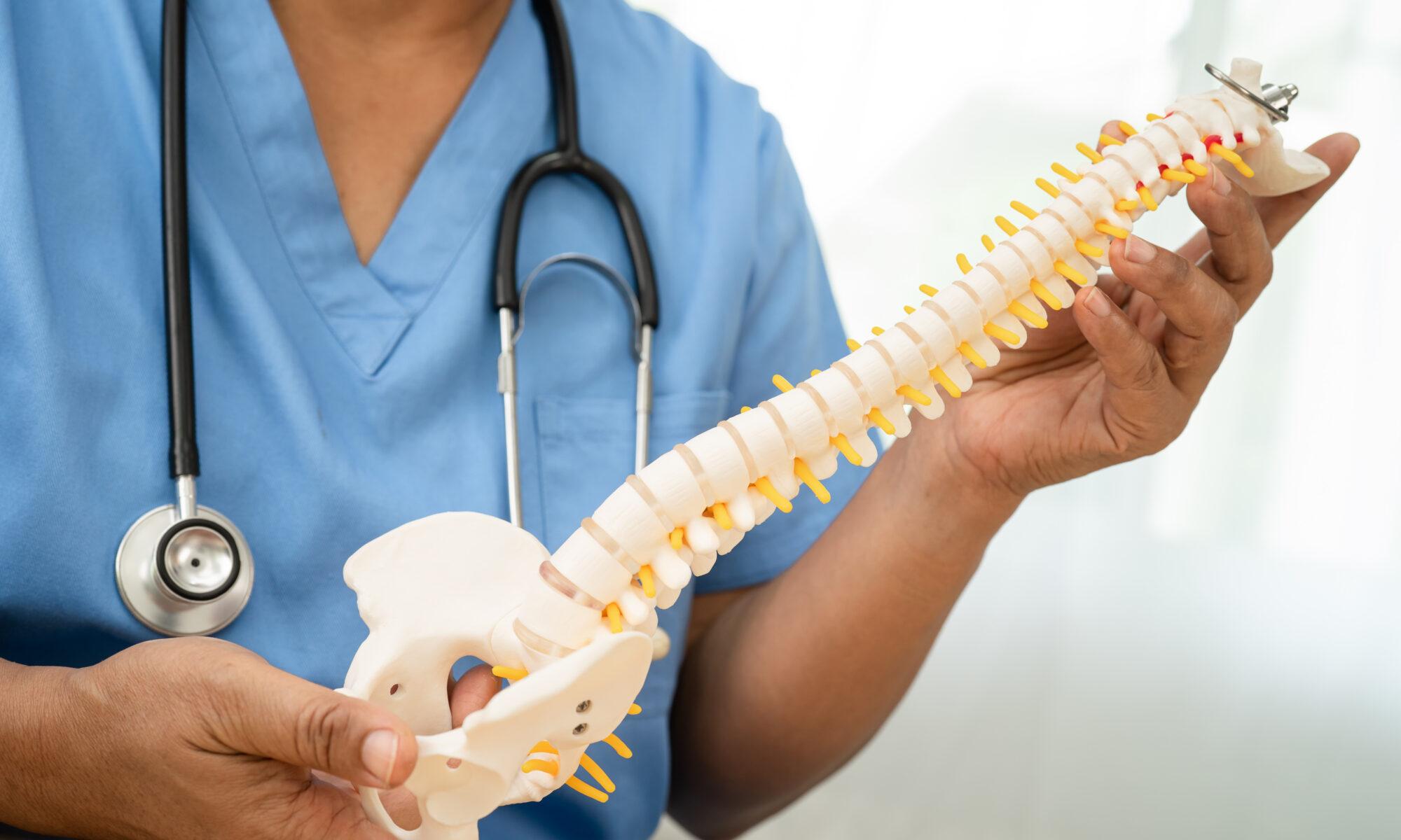 Doctor holding spine and going over pinched nerves with patient