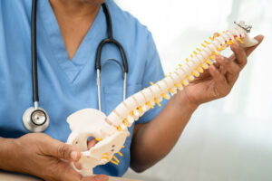 Doctor holding spine and going over pinched nerves with patient